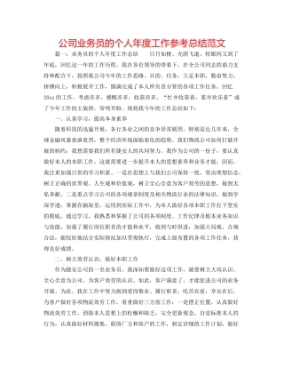 公司业务员的个人年度工作参考总结范文