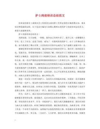 护士岗前培训总结范文 