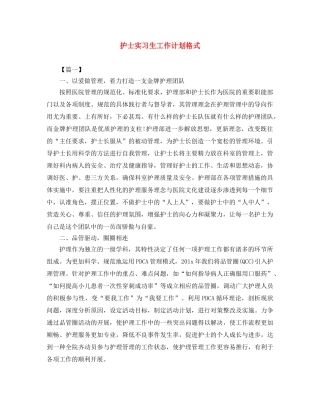 护士实习生工作计划格式 
