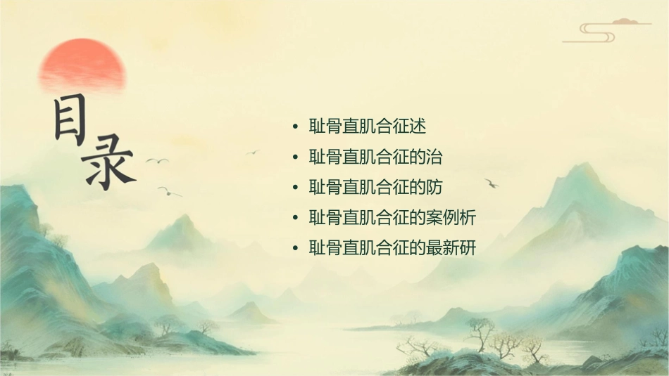 耻骨直肠肌综合征课件_第2页