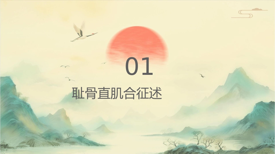 耻骨直肠肌综合征课件_第3页