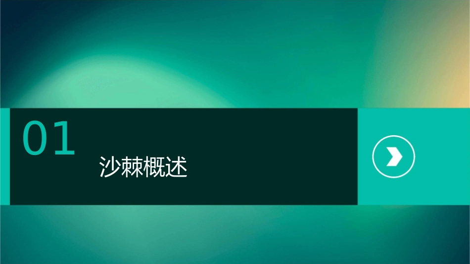 小春沙棘油见证沙棘的神奇之处课件_第3页