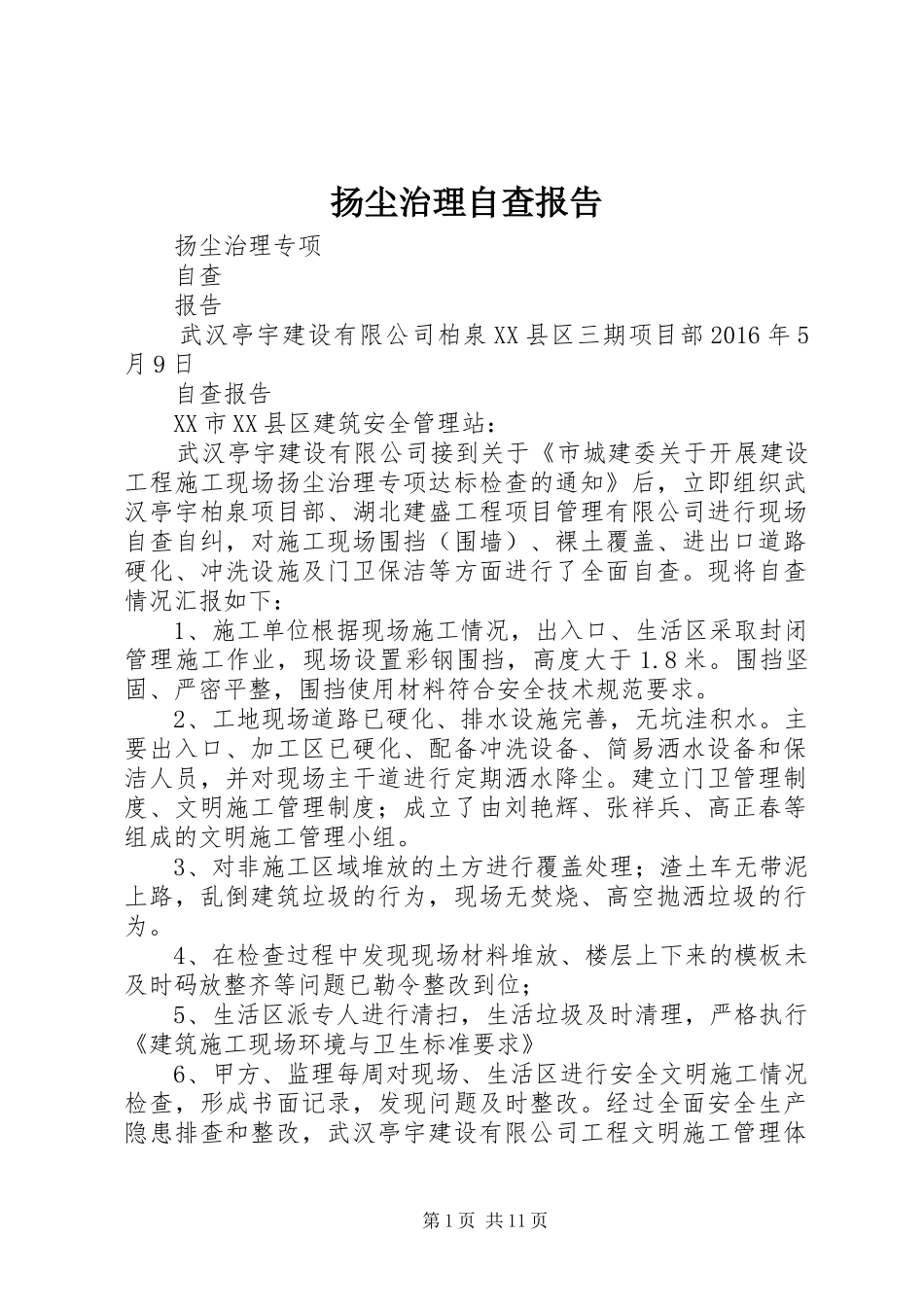 扬尘治理自查报告_第1页