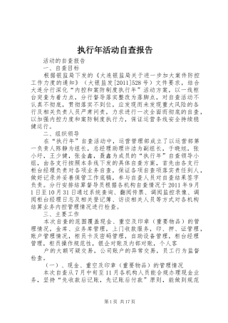 执行年活动自查报告