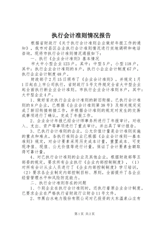 执行会计准则情况报告