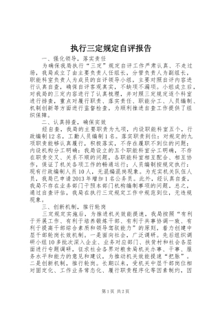 执行三定规定自评报告