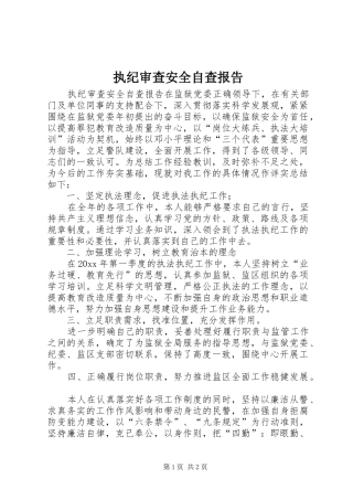 执纪审查安全自查报告