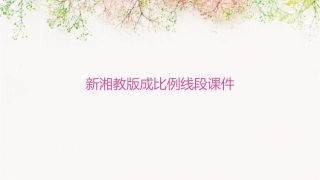 新湘教版成比例线段课件