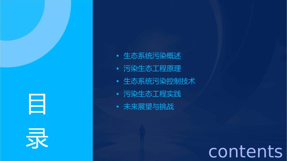 生态系统污染控制与污染生态工程课件_第2页