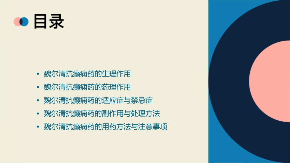 神经系统药理—魏尔清抗癫痫药课件_第2页