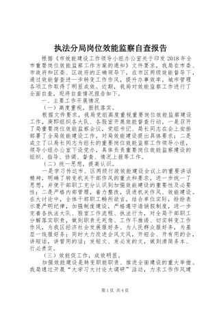 执法分局岗位效能监察自查报告