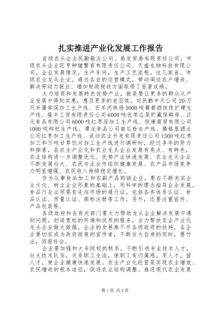扎实推进产业化发展工作报告