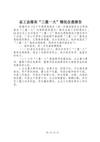 总工会落实“三重一大”情况自查报告
