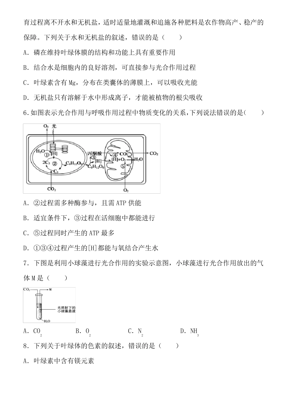 高一生物上册光合作用和能量转化专项练习含答案_第3页
