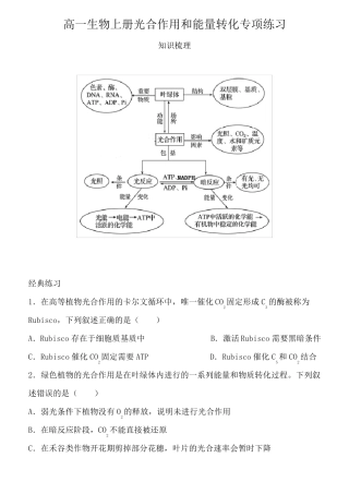 高一生物上册光合作用和能量转化专项练习含答案