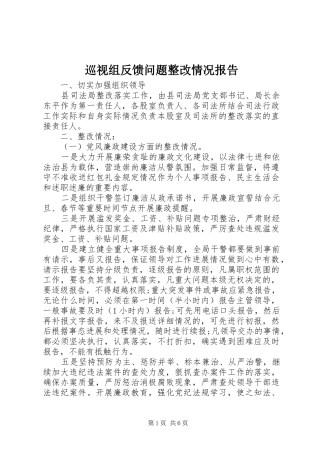 巡视组反馈问题整改情况报告