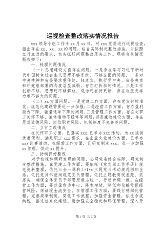 巡视检查整改落实情况报告