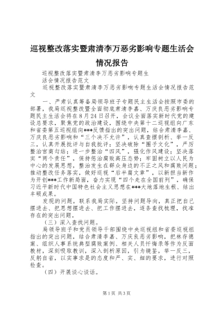 巡视整改落实暨肃清李万恶劣影响专题生活会情况报告