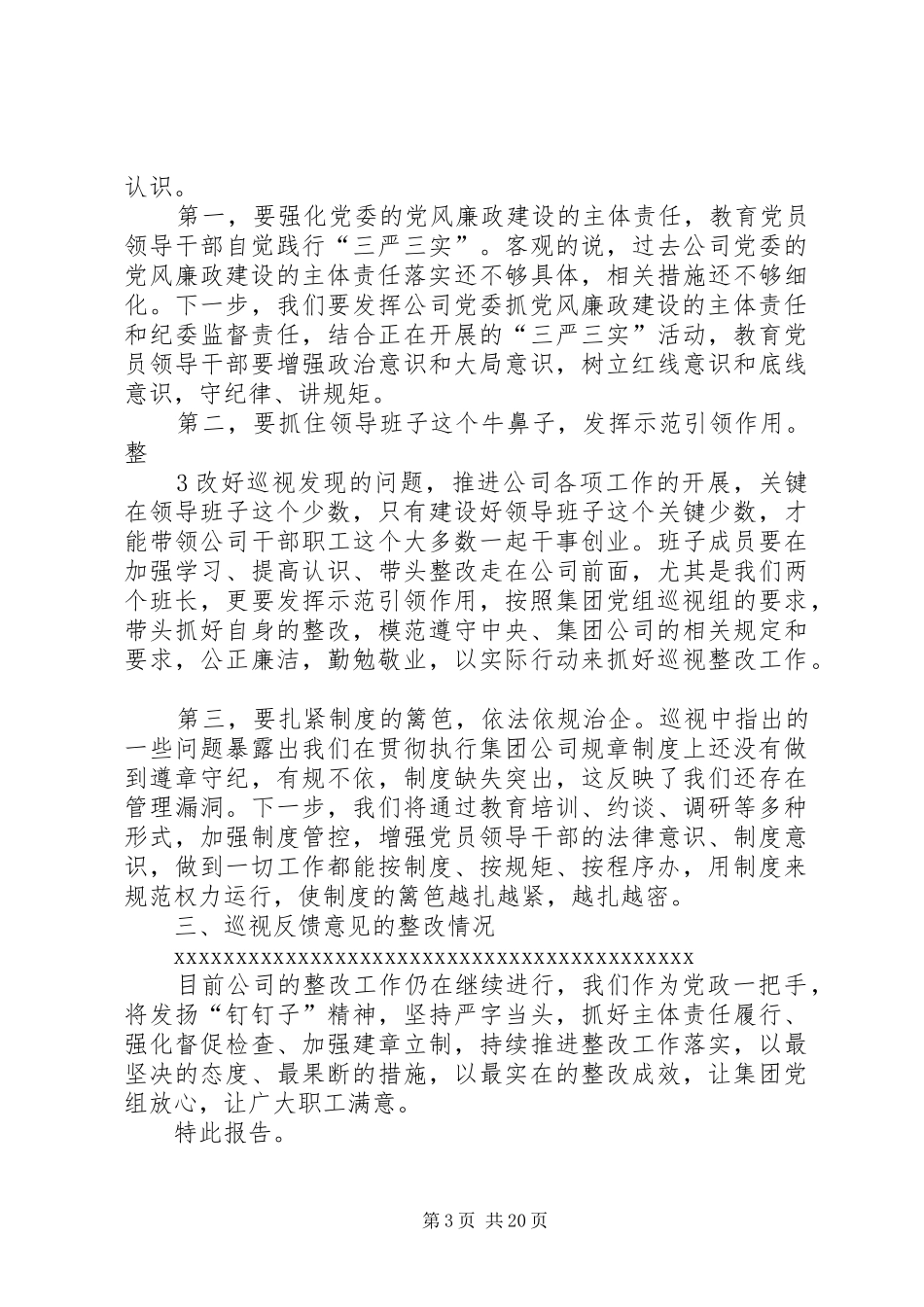 巡视整改个人报告_第3页