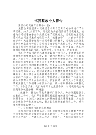 巡视整改个人报告