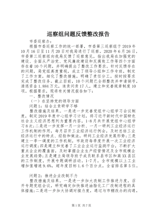 巡察组问题反馈整改报告