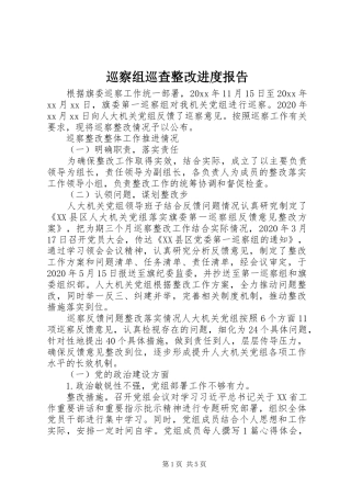 巡察组巡查整改进度报告