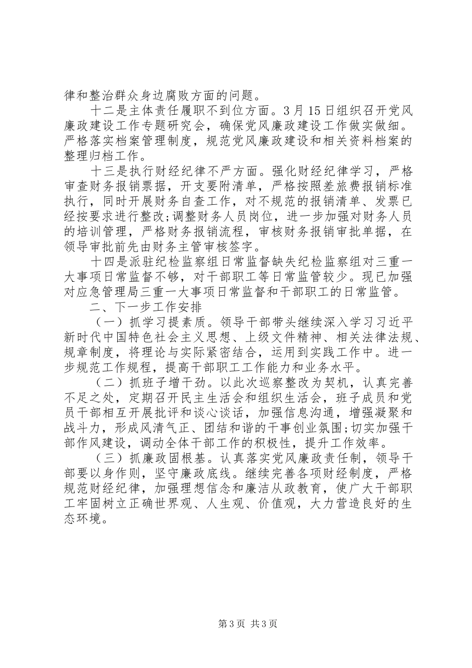 巡察意见整改工作报告_第3页