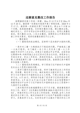 巡察意见整改工作报告