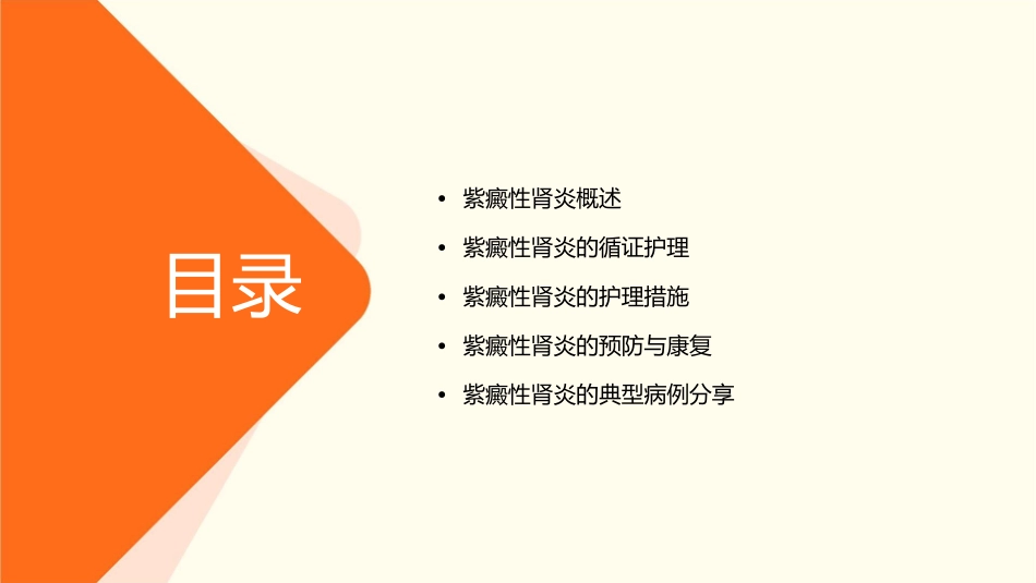 紫癜性肾炎诊治循证指南护理课件_第2页