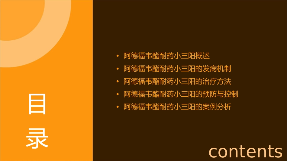 阿德福韦酯耐药小三阳课件_第2页