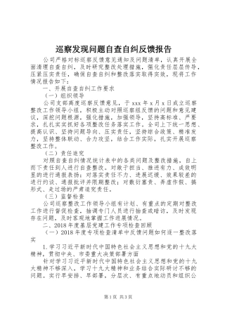 巡察发现问题自查自纠反馈报告