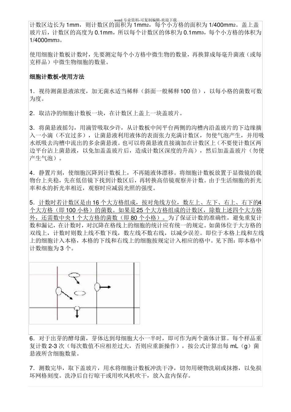 细胞计数板使用方法_第2页
