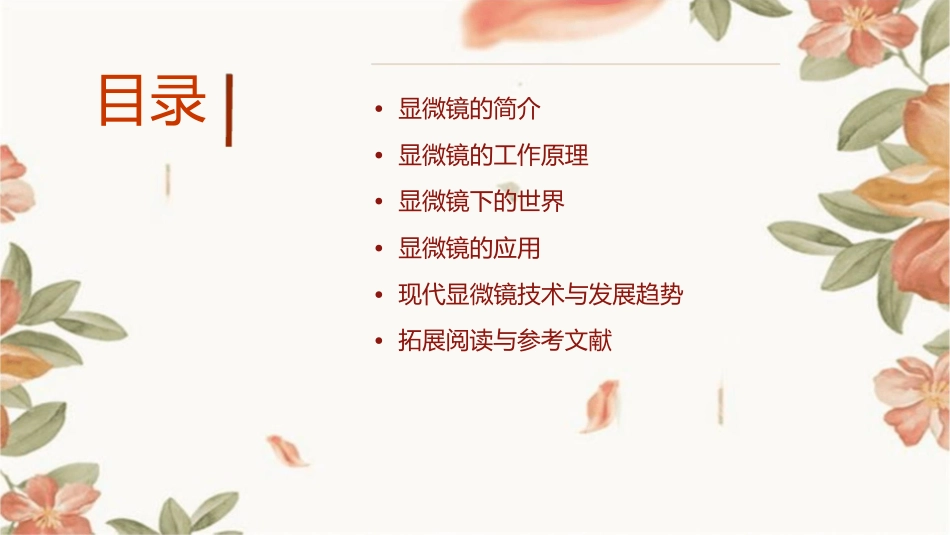 显微镜与小型新世界课件_第2页