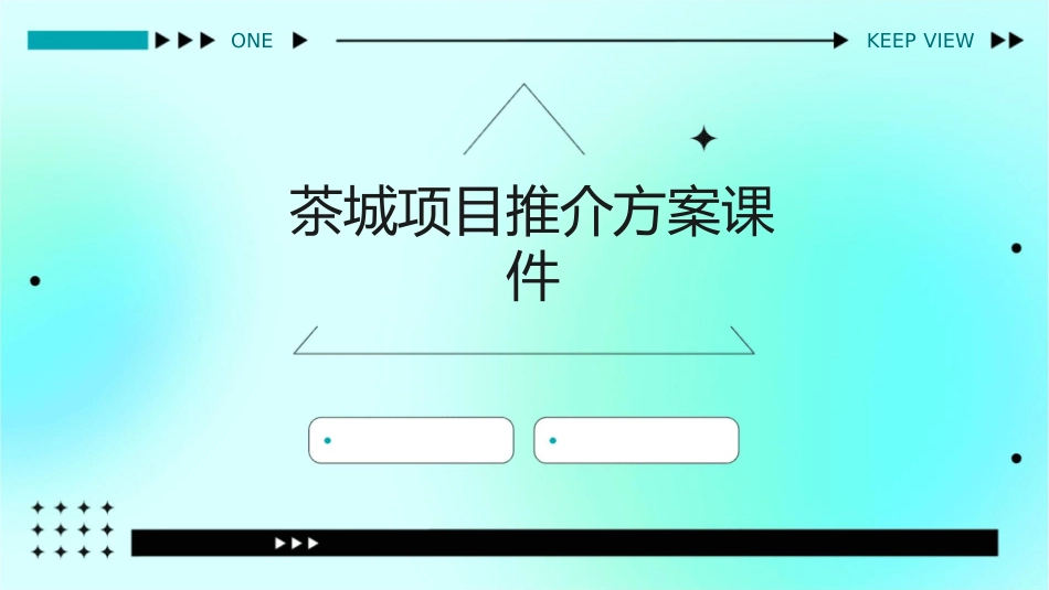茶城项目推介方案课件_第1页