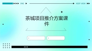 茶城项目推介方案课件