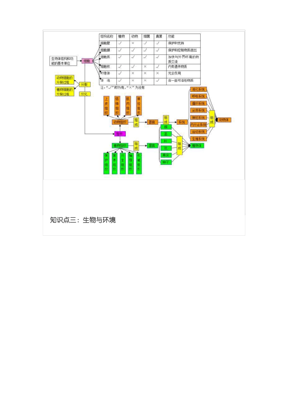 初中生物思维导图_第2页