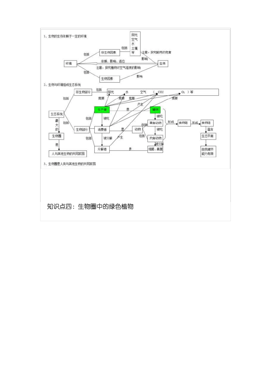 初中生物思维导图_第3页