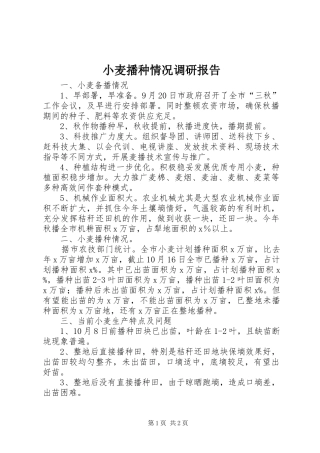 小麦播种情况调研报告