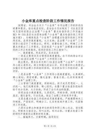 小金库重点检查阶段工作情况报告