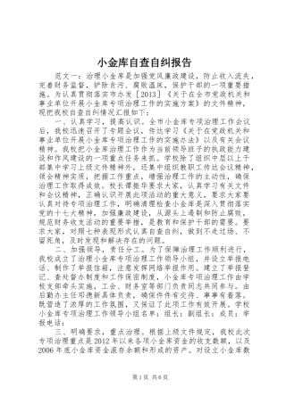 小金库自查自纠报告