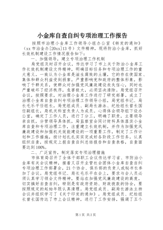 小金库自查自纠专项治理工作报告