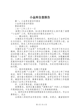 小金库自查报告 (14)