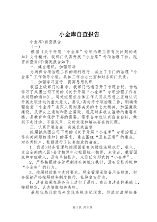 小金库自查报告
