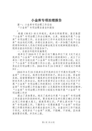 小金库专项治理报告