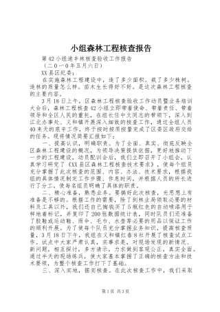 小组森林工程核查报告