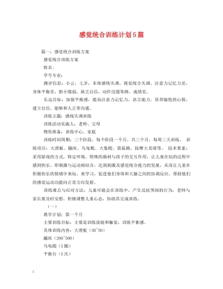 感觉统合训练计划5篇 