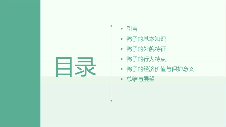 我喜欢的小动物鸭子课件_第2页