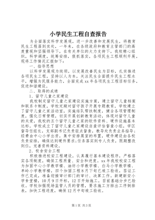 小学民生工程自查报告