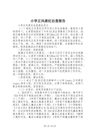 小学正风肃纪自查报告