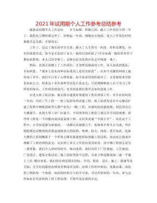 2021年试用期个人工作参考总结参考